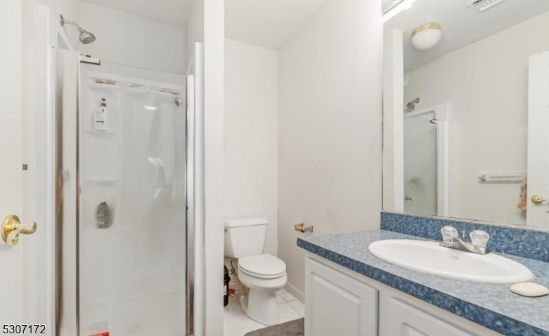 Basement Full Bathroom