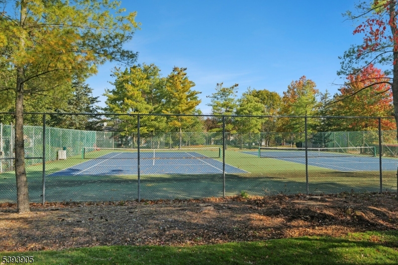 Community Tennis