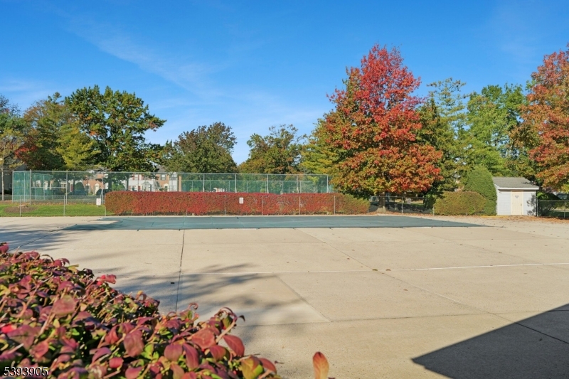 Community Recreation