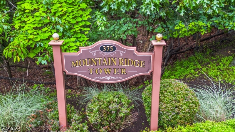 55 and older adult community
