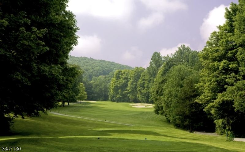 Incredible Golf on site