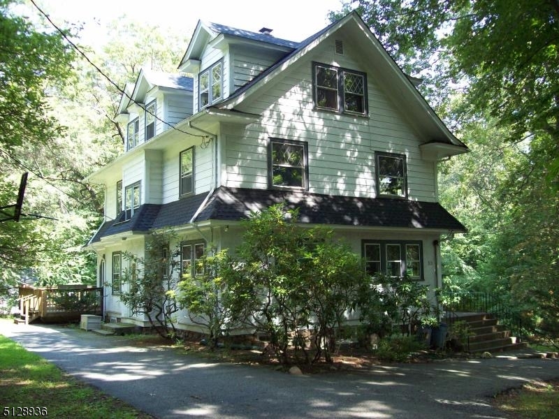 Side view in the summer