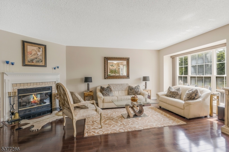 Living room with fireplace