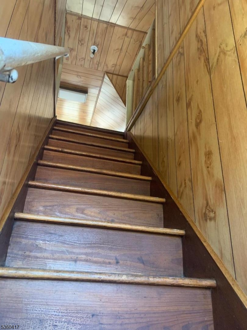 Attic steps