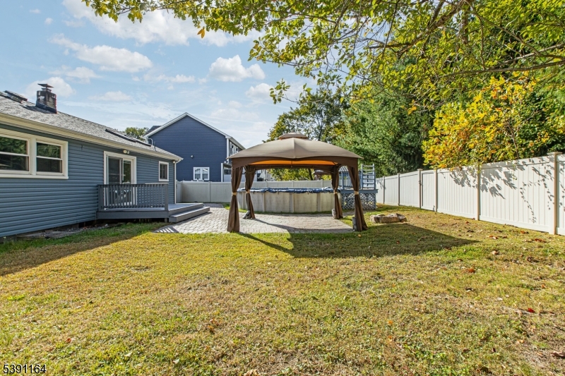 Back yard