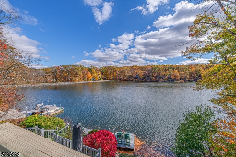 View from Upper Deck