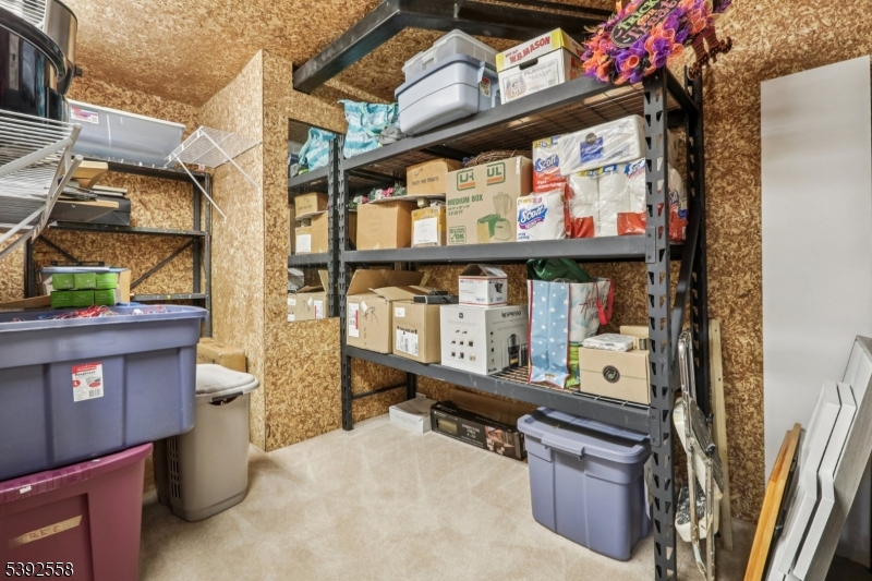 Lower Level Storage Room Separate room for all your storage needs