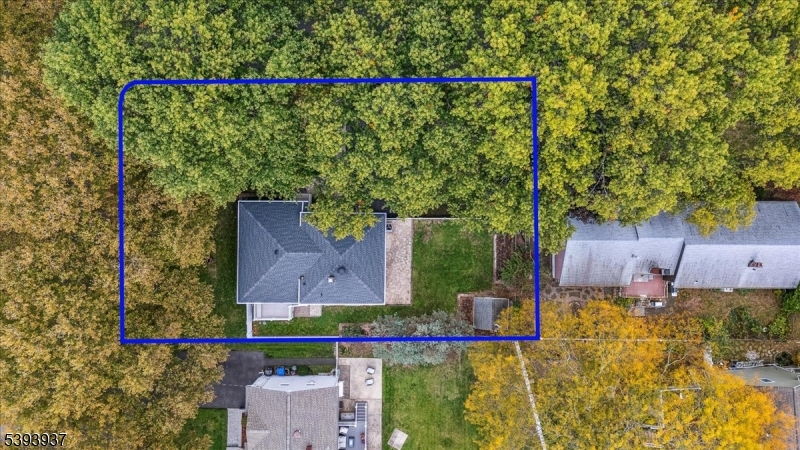 Full property drone view