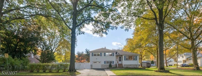 Drone whole front view