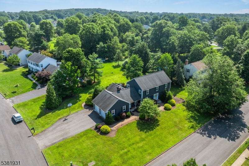 AERIAL