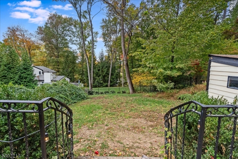 Back yard