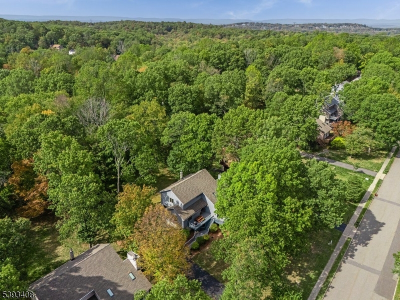 Stunning Level Lot