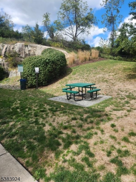 Community Picnic Area