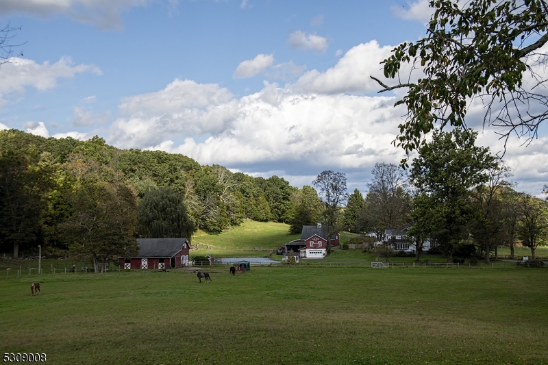 Bucolic Farm