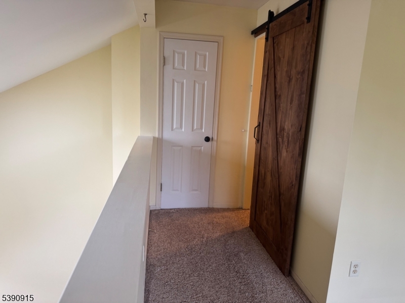 Barn door and closet