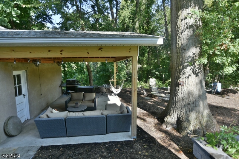 View of backyard