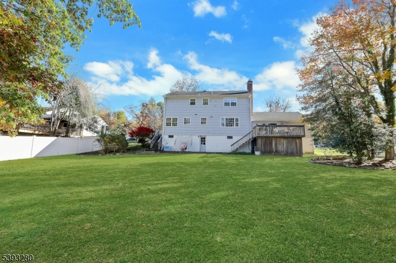 Large Level Backyard