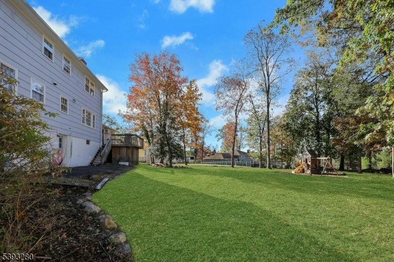 Large Level Backyard