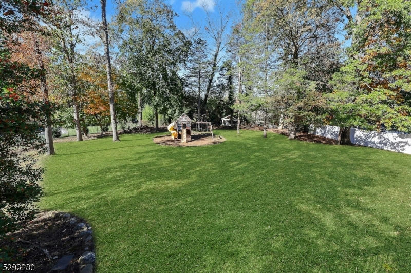 Large Level Backyard