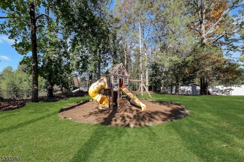 Large Level Backyard