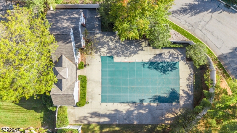 Pool Aerial