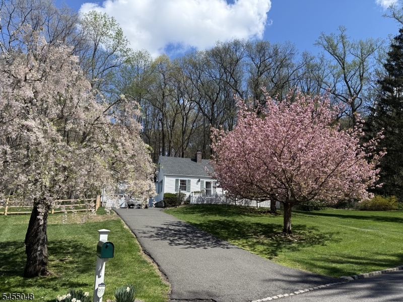 Springtime photo