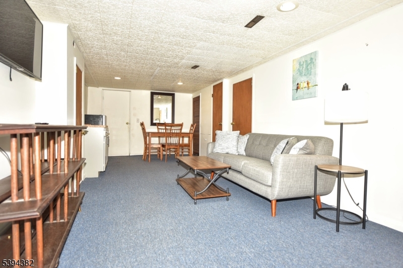 Family room/Basement