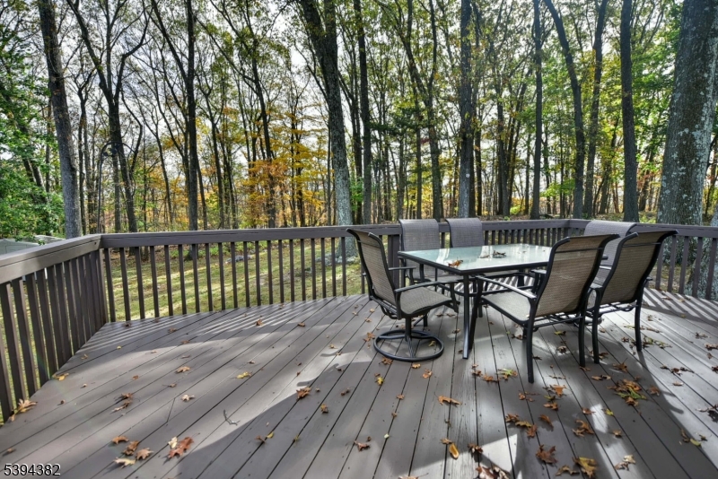 Backyard/Deck