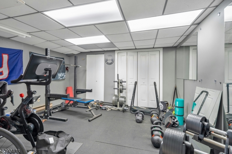 Basement Recreation/Gym