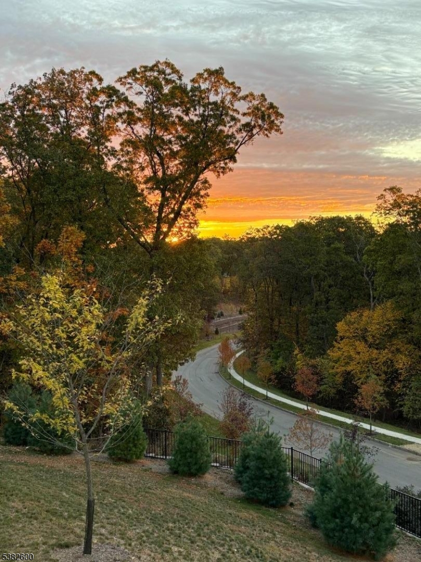 Backyard Autumn View
