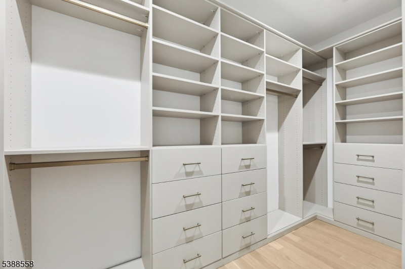 Primary Walk-in Closet