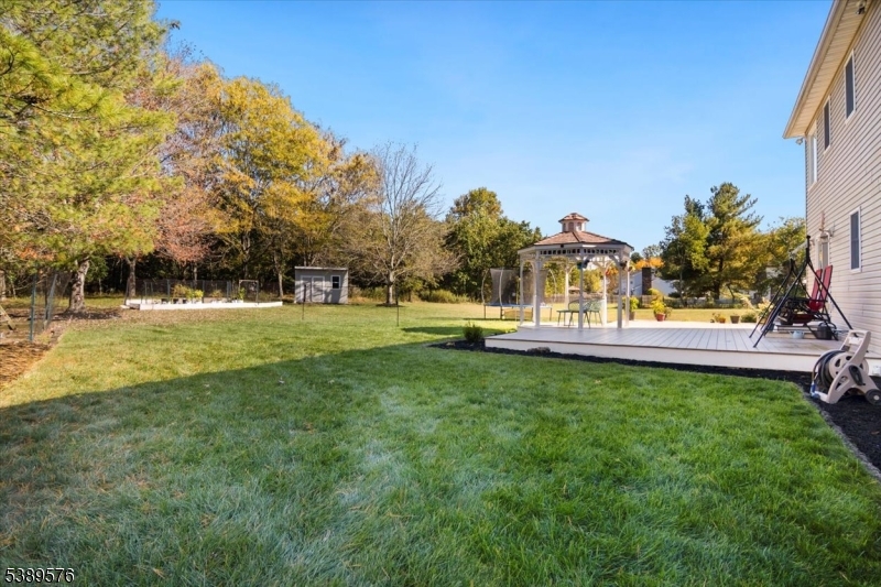 Another view of backyard