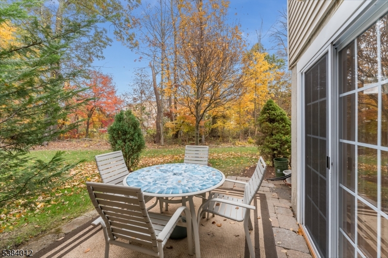 Patio View At Walkout