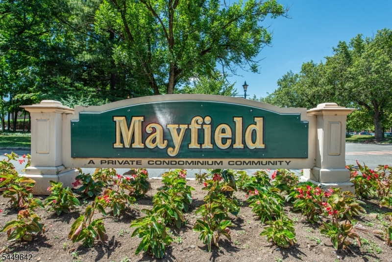 Mayfield - The Hills