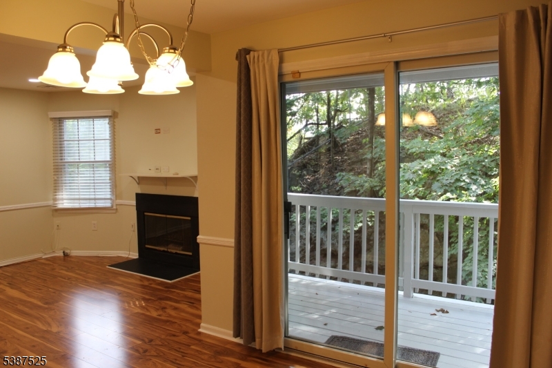 Patio Door