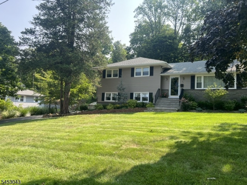 Front View