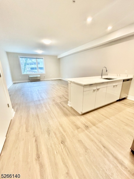 Entry of unit Kitchen and living area