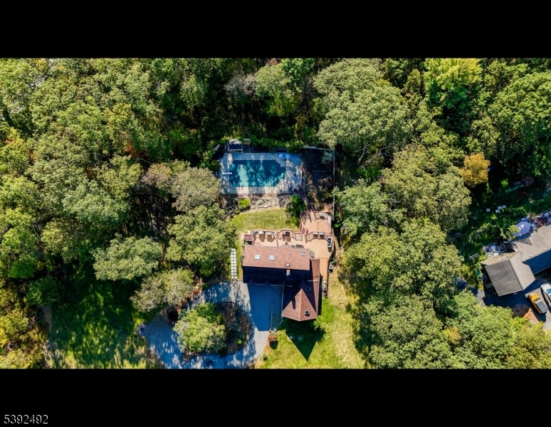 Drone View