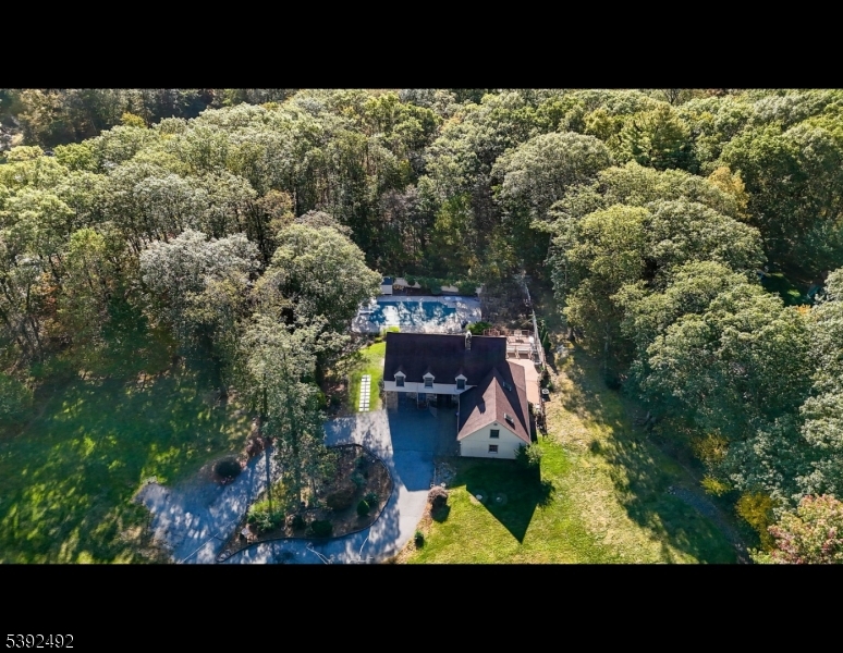 Drone View
