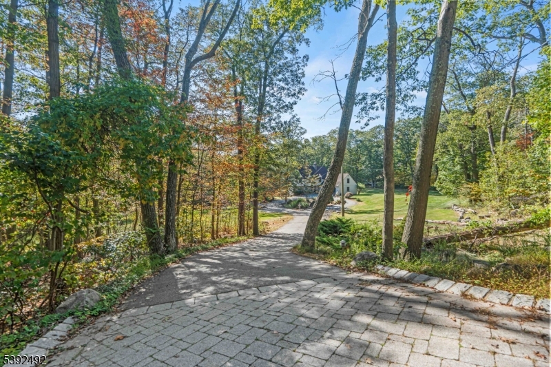 Entry to Driveway