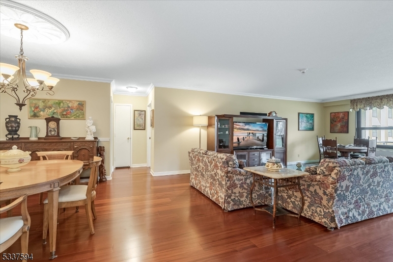 Living Room/Dining Room Combo