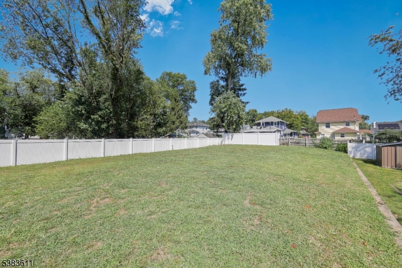back yard