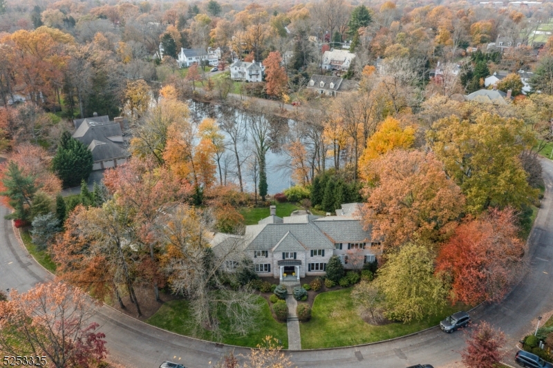 Overlooking Mallard Pond