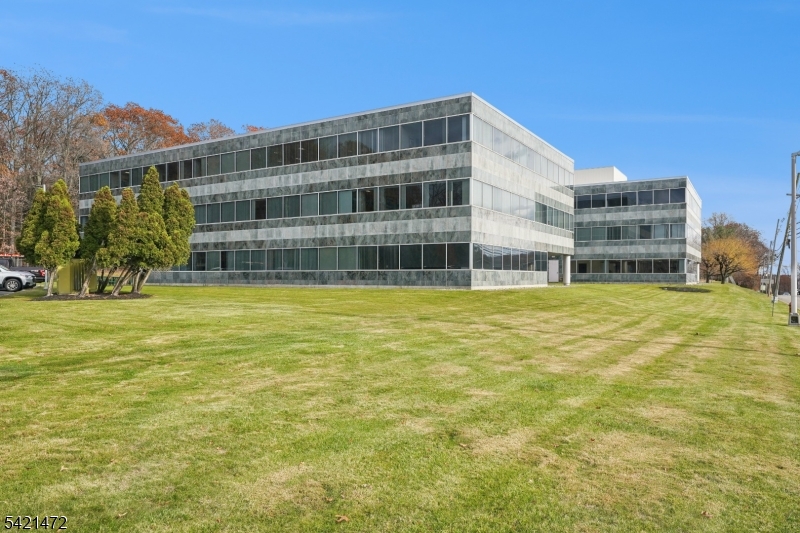 Building View