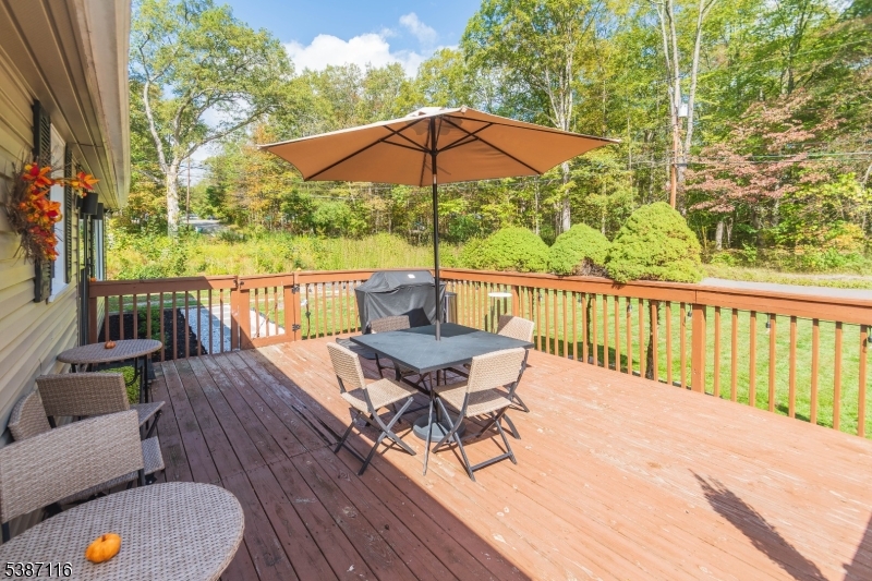 Large Deck
