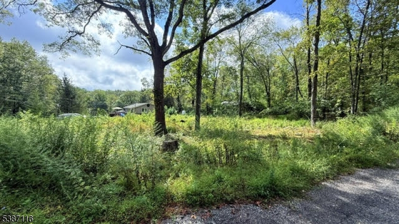Large Lot- Right Side Included