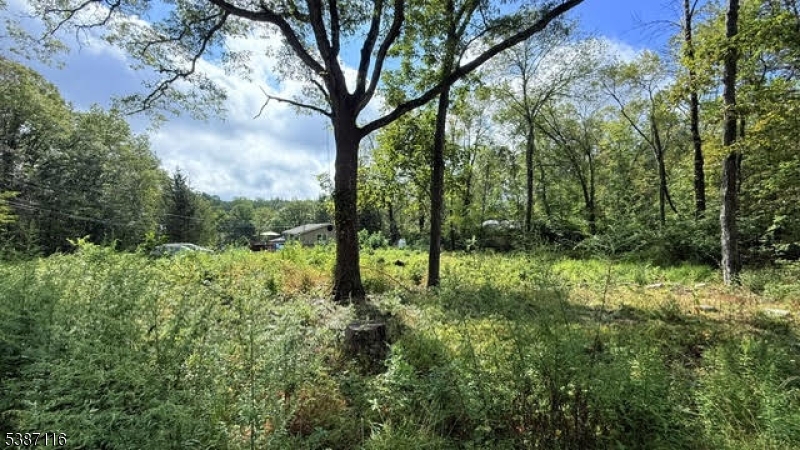 Large Lot- Right Side Included