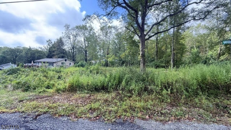 Large Lot- Right Side Included