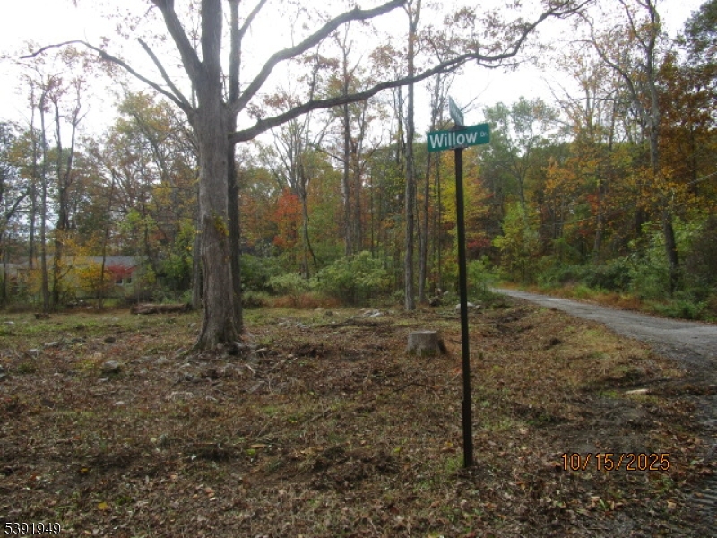 Side Yard