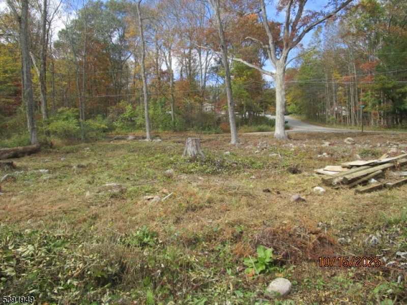 Side Yard